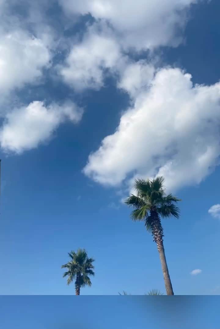長谷川あやのインスタグラム：「🌴🌴🌴#2歳#2歳4ヶ月#赤ちゃんのいる生活#新米ママ#女の子ママ#小夏のいる生活#沖縄#家族旅 ・ ・ ・ 今日からお仕事で 沖縄に少しだけ滞在します👨‍👩‍👧🌴 ・ PCR検査、感染対策 ばっちりでお邪魔するので 暖かく見守っていただけたら幸いです😌🙏🧡」