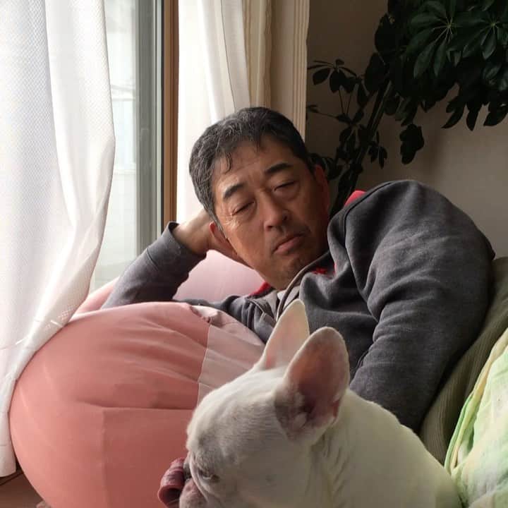 ちえぶぅたのインスタグラム：「ぶぅ汁噴射。」