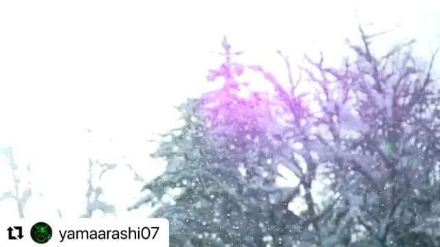 KAI_SHiNEのインスタグラム：「🔥🔥🔥 昔からお世話になっている渋ちんさん @refmasato ×山嵐。 激アツ🤝✨  #Repost @yamaarashi07  ・・・ ムラサキスポーツ 2021-2022 スノーボード オフィシャルムービー  Music : 山嵐 - PAIN KILLER  @koheikudo @yuriokubo727 @takeru_otsuka @yutaro38 @cocomonsan @kaitohamada @rukahirano @ysk__g  film by @refmasato / @naoki__utsumi edit by @refmasato  ムラサキスポーツ @murasakisports_official  #山嵐 #PAINKILLER #ムラサキスポーツ #スノーボード」