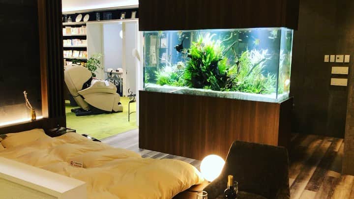 大阪・東京のアクアリウムならa.a.c.のインスタグラム：「. #モデルルーム　2mの#水草水槽🌱 . . #アクアリウム のある#ベッドルーム 🛌 . . . #アート #アートアクアリウム  #インテリア #インテリアアクアリウム #水草 #水槽 #水槽のある暮らし #熱帯魚 #海水魚 #水槽レンタル #水槽メンテナンス #大阪 #東京 #アクアポニックス  #art #aquarium #fish #空間デザイン #オフィスデザイン #オフィスグリーン #オーダーメイド水槽 #インテリアコーディネート #グリーンコーディネート #アクアテラリウム」