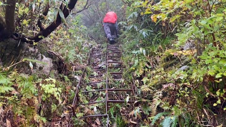 桜花のインスタグラム：「今日も、雨降りや寒さが到来しますね☔  足元や、諸々気をつけて参りましょう✨  慎重に。 そう！！ このスロー階段桜花のように！笑  先日の月山山行。ほぼ垂直で、とっては雨で滑るし、ゆっくりと〜🐱  おそるべし月光坂、、！！🌙  ちなみにグローブ持ってたけど、素手で行きました。  #月光坂  #かっこいい名前  #月山 #湯殿山  #mt.gassan #gassan #mountain #mountains #rain  #rainy #rainymountain #慎重に」