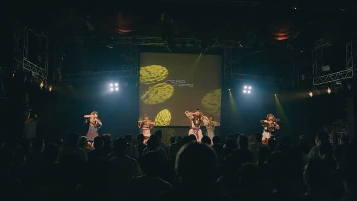 さかい（ステレオパンダ）のインスタグラム：「僕がプロデュースさせていただいてる『SOMOSOMO(ソモソモ)』が  7/3 2nd Anniversary Live 『Reason for living』 がDVD化されました！  2枚目のLiveDVDになりますが  今回は、11台のカメラやクレーン、レールを使ったダイナミックな映像に仕上がった作品になってます！  SOMOSOMOの全曲収録されているDVDです！  皆さん！ゲットしてください！」