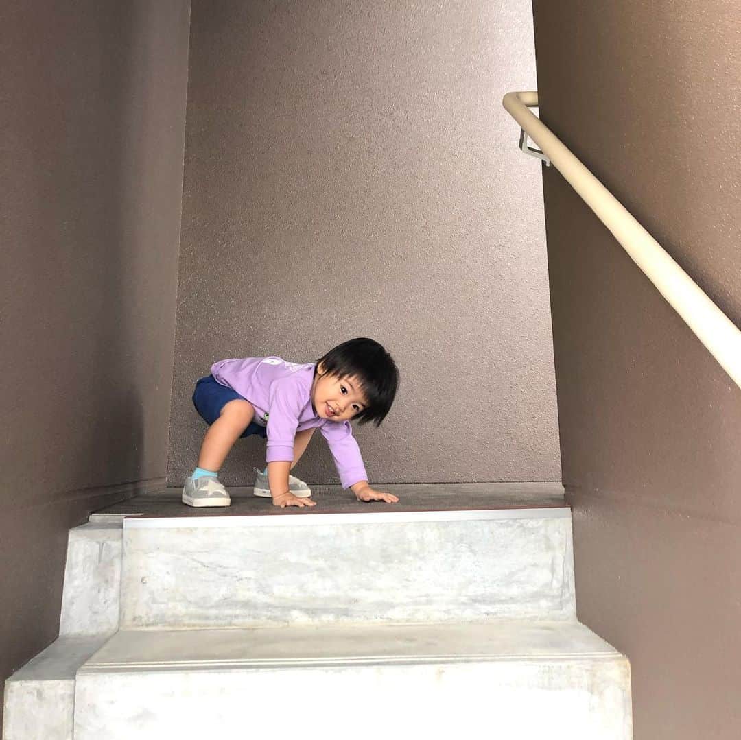 中川実咲のインスタグラム：「. お久しぶりです。 10月から1人でキャンパス運営してます。 毎日生徒がすごい勢いで輝き増すので、涙腺やばいです。 明日は体育祭、来月は文化祭、ドッヂもやるしバンドもやるしなんでもやります。 今悩んでても、絶対うち来たら楽しいよ！って、胸張って言える最高の居場所です。 不登校とか進級不安で悩んでる中学生高校生さん、ぜひうちへ。」