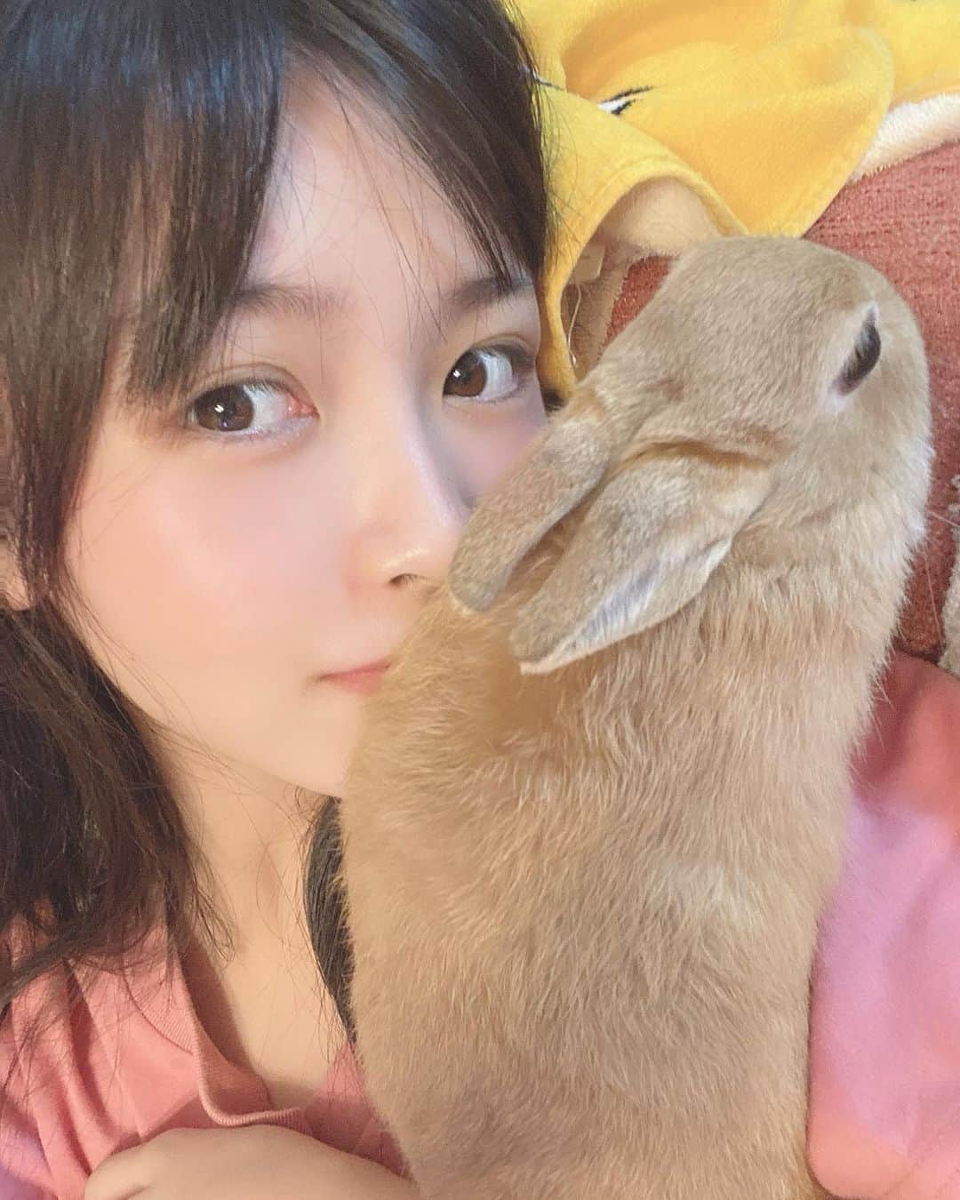 AIRIさんのインスタグラム写真 - (AIRIInstagram)「たるとはわたしの天使ちゃん👼🐰 . .  #PiXMiX #アイドル #idol #偶像 #エフェクト #おうち #インスタ #Instagram #kawaii #daisuki #followme #jk #sjk #高校生 #家族 #ペット #🐰 #うさぎ #かわいい#可愛すぎる #動物 #rabbit #animal #兎  #！！！ #wow #pet #ネザーランドドワーフ」10月18日 22時16分 - aylin200442