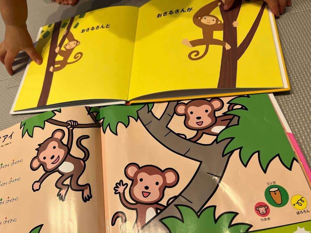 石橋杏奈さんのインスタグラム写真 - (石橋杏奈Instagram)「お猿さん  娘はお猿さんを見るとママと言います 私のことをお猿さんだと思っているようですね🙈  #お猿さん #アイアイ」10月18日 14時15分 - annaisbs_92