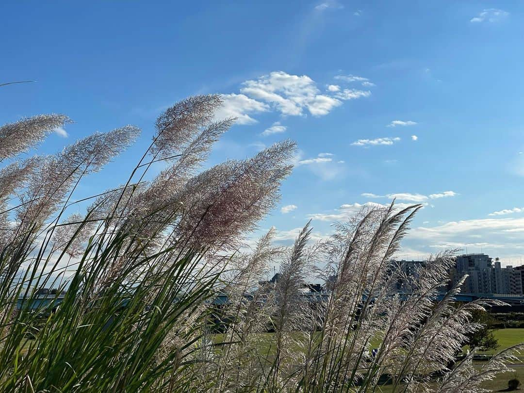 大慈弥レイのインスタグラム：「お天気良くて気持ちいい〜◎ 秋ですね🌾」