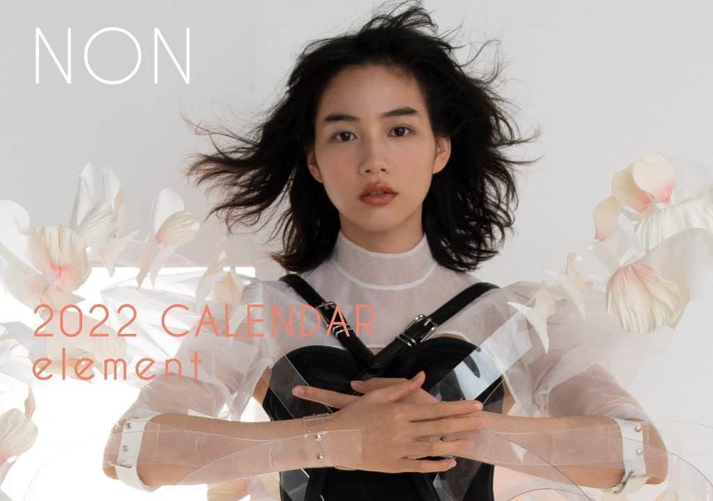 能年玲奈カレンダー2013 能年玲奈 カレンダー 2013年 新品未開封品 心細く