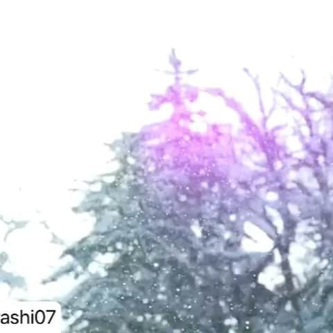 SATOSHIのインスタグラム：「#repost @yamaarashi07 ・・・ ムラサキスポーツ 2021-2022 スノーボード オフィシャルムービー  Music : 山嵐 - PAIN KILLER  @koheikudo @yuriokubo727 @takeru_otsuka @yutaro38 @cocomonsan @kaitohamada @rukahirano @ysk__g  film by @refmasato / @naoki__utsumi edit by @refmasato  ムラサキスポーツ @murasakisports_official  #山嵐 #PAINKILLER #ムラサキスポーツ #スノーボード」