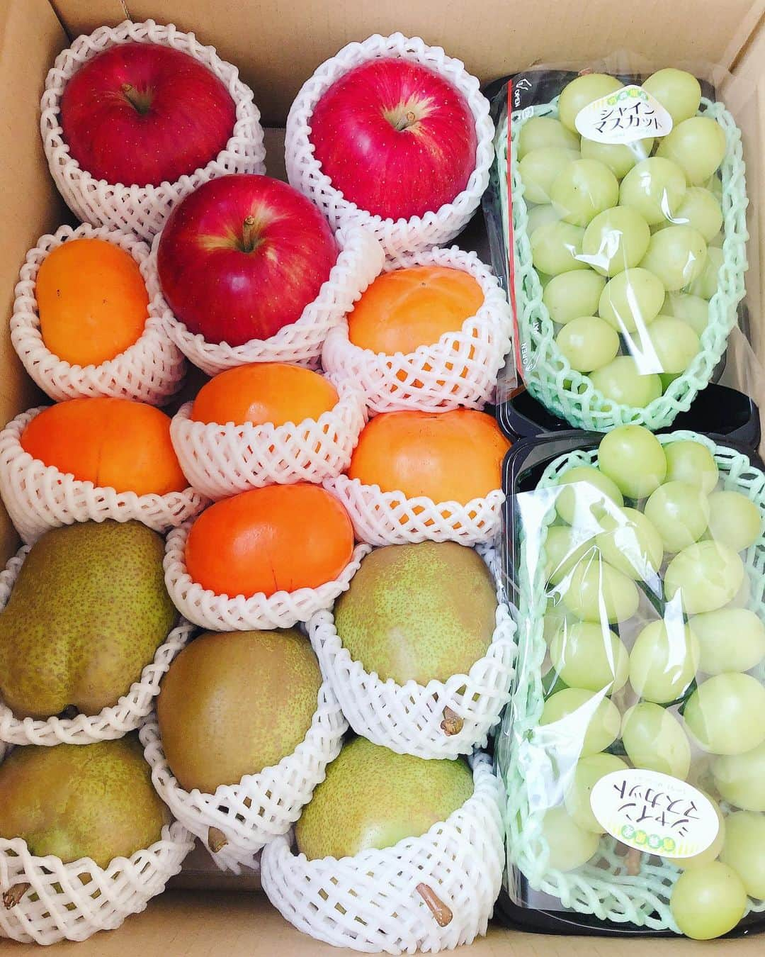 YUUKIのインスタグラム：「🍎 Fresh fruits!!!!!!!! 実家青森のフルーツ達が 今年も送られてきました♡  朝からシャインマスカットな今日のおめざ😆✨ 最高すぎて、目が覚めた‼︎  Have a nice day✨  #freshfits #aomori #yummy #nature #photography #photooftheday #gift #niceday #青森産 #絶品フルーツ #自然の恵み #秋味 #秋の味覚 #美味しいもの #旬を味わう」