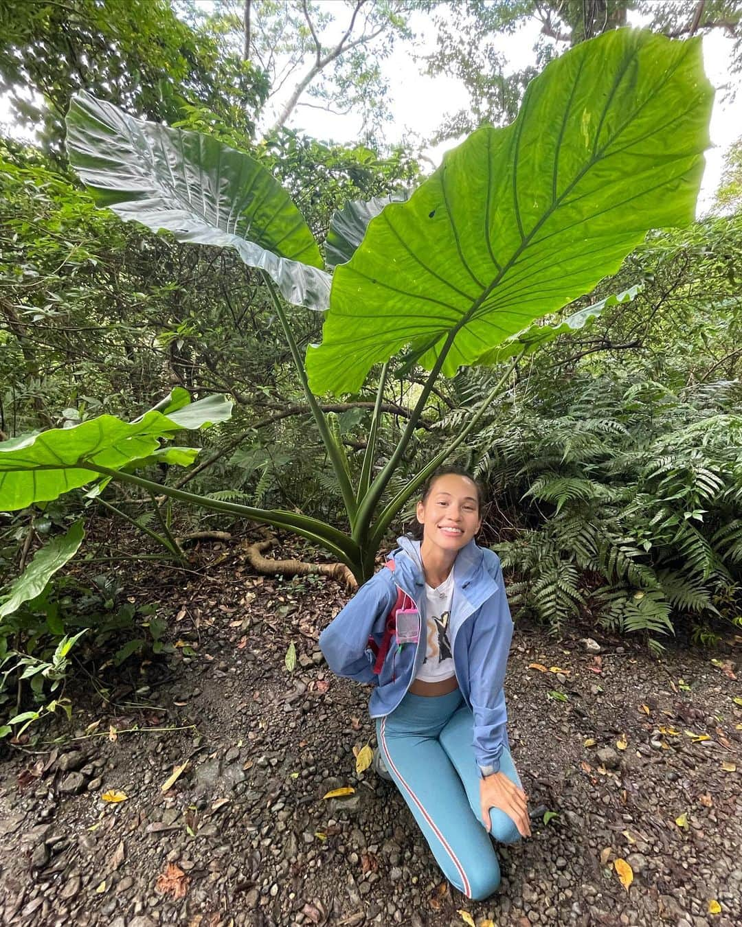 水原希子 さんのインスタグラム写真 - (水原希子 Instagram)「🌿🐌🕷🦋🐾🦉」10月19日 17時37分 - i_am_kiko