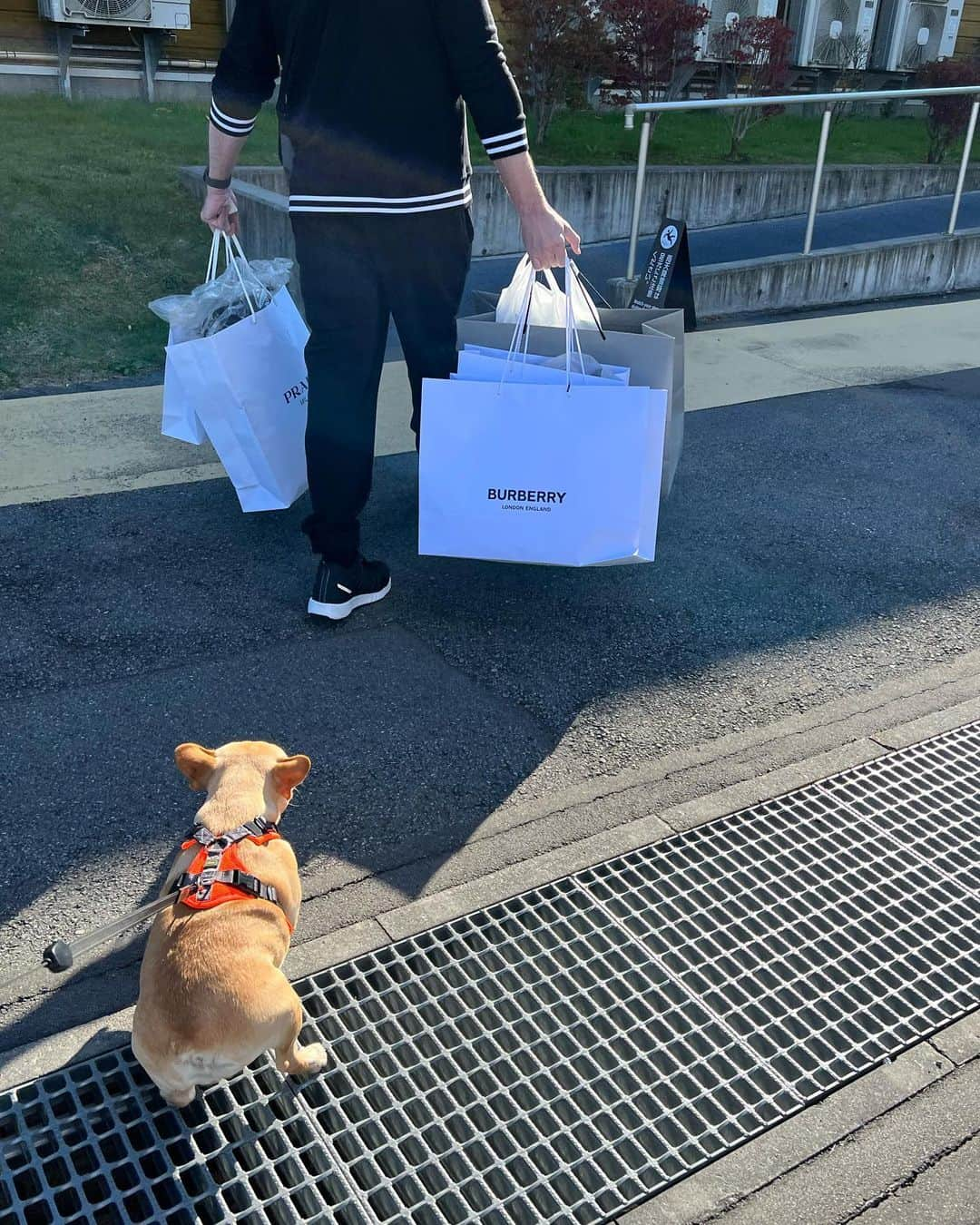 黒ユイさんのインスタグラム写真 - (黒ユイInstagram)「HAPPYな誕生日を過ごせました☺️❤️ 犬も一緒に泊まれる　 @reginaresort_mikageyousui へ行きました！ 私の誕生日ではなく、マロンの誕生日じゃない⁈🐶 って位、マロンははしゃいでテンションあげあげ❤️ わんちゃんにも人にも優しいホテルです😍おすすめ！  川沿いを家族で散歩したりドッグランへ行って 他のわんちゃんと遊んでもらったり ほっこりした時間でした☺️💕 自然溢れる木々と空気と音は癒されるなぁ🥰最高❗️  飲み物とお菓子の買い出しに 旦那さんが一人で行ってくれたんだけど、 中々帰ってこなくて、私もマロンも心配してたら 豪華な花束を買って帰ってきてくれました💐😭 知らない土地でまさか花束を買いに行ってくれてるなんて… 気持ちが凄く嬉しかった☺️💕 そんな優しい旦那さんだから、 マロンは日に日に旦那さんLOVEで べったり甘えん坊さんです😝❣️  誕生日プレゼントも沢山買ってくれて🥲 楽しい時間を沢山過ごせて🥰 幸せな誕生日に感謝ですっ❤️🎂  LINEやメッセージ、コメントくれた方々 ありがとうございます😆💕 また一つ歳を重ねた私も宜しくお願い致します☺️✨  #ペットと泊まれる宿 #ペットと泊まれる旅館 #ペット同伴可 #犬と泊まれる宿 #誕生日　#誕生日旅行」10月19日 18時55分 - yui_my_life