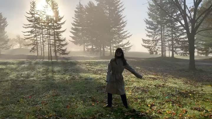 吉竹美聡のインスタグラム：「早朝散歩🌲✨ 絵本の中のような世界だった🐰」