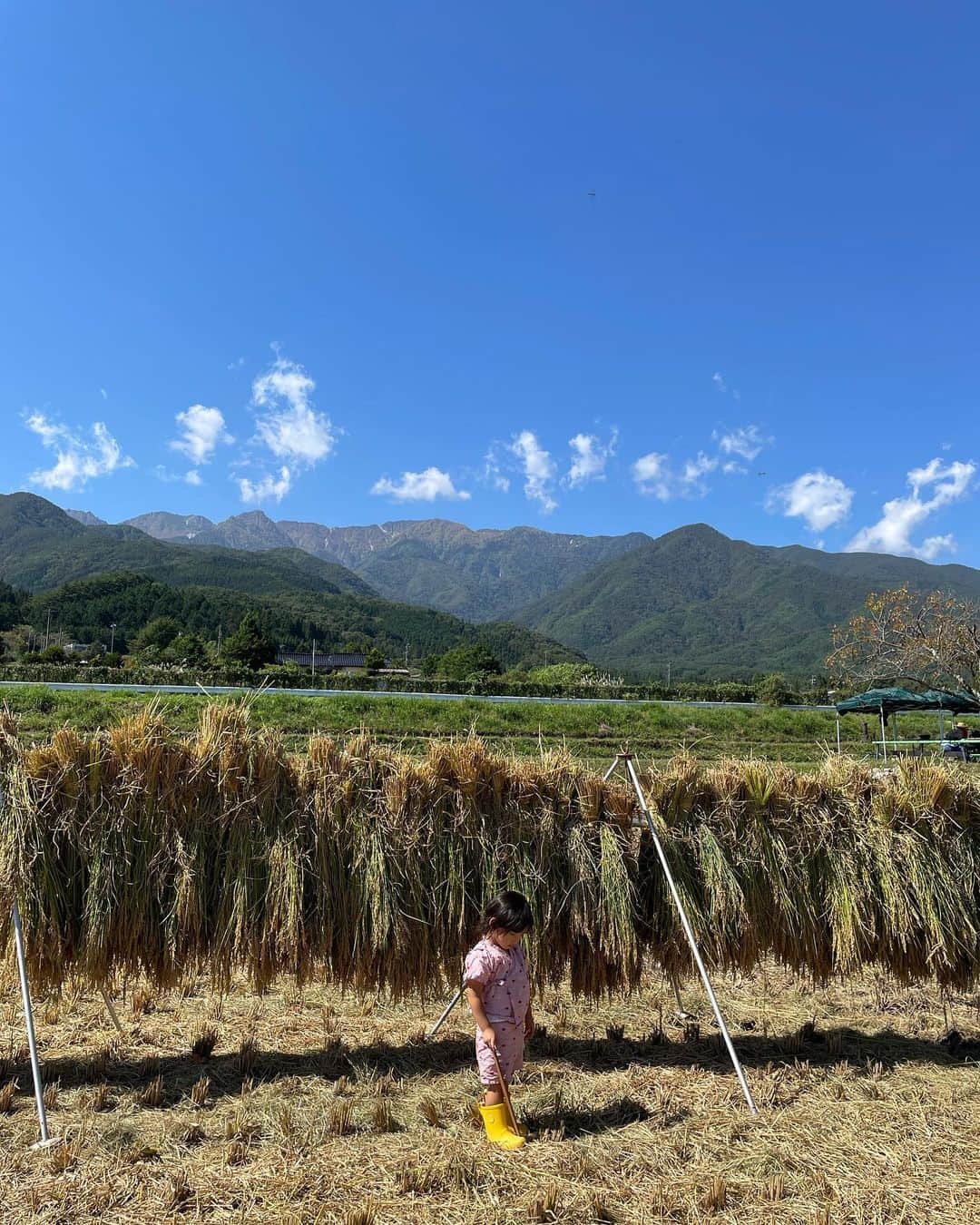 小屋春菜のインスタグラム：「今月の初めに行ってきました名古屋から2時間で着く長野県伊那市！親友のこうこの実家があって、伊那市には今回が2度目の訪問なんだけど来た時は毎日山と空気が綺麗だって思う🥲♡ 稲刈りをして子供に貴重な経験させて頂けてとても嬉しありがたかった🌾 ラブリー家族🍄にも会えたし こうこの実家の美味しい焼肉屋さんで夜ご飯食べたりお母さんが生地から作ったもっちもちの美味しい肉まん食べたり時間気にせずとってもリラックスできた旅でした😮‍💨  年末にまた行くね♡」
