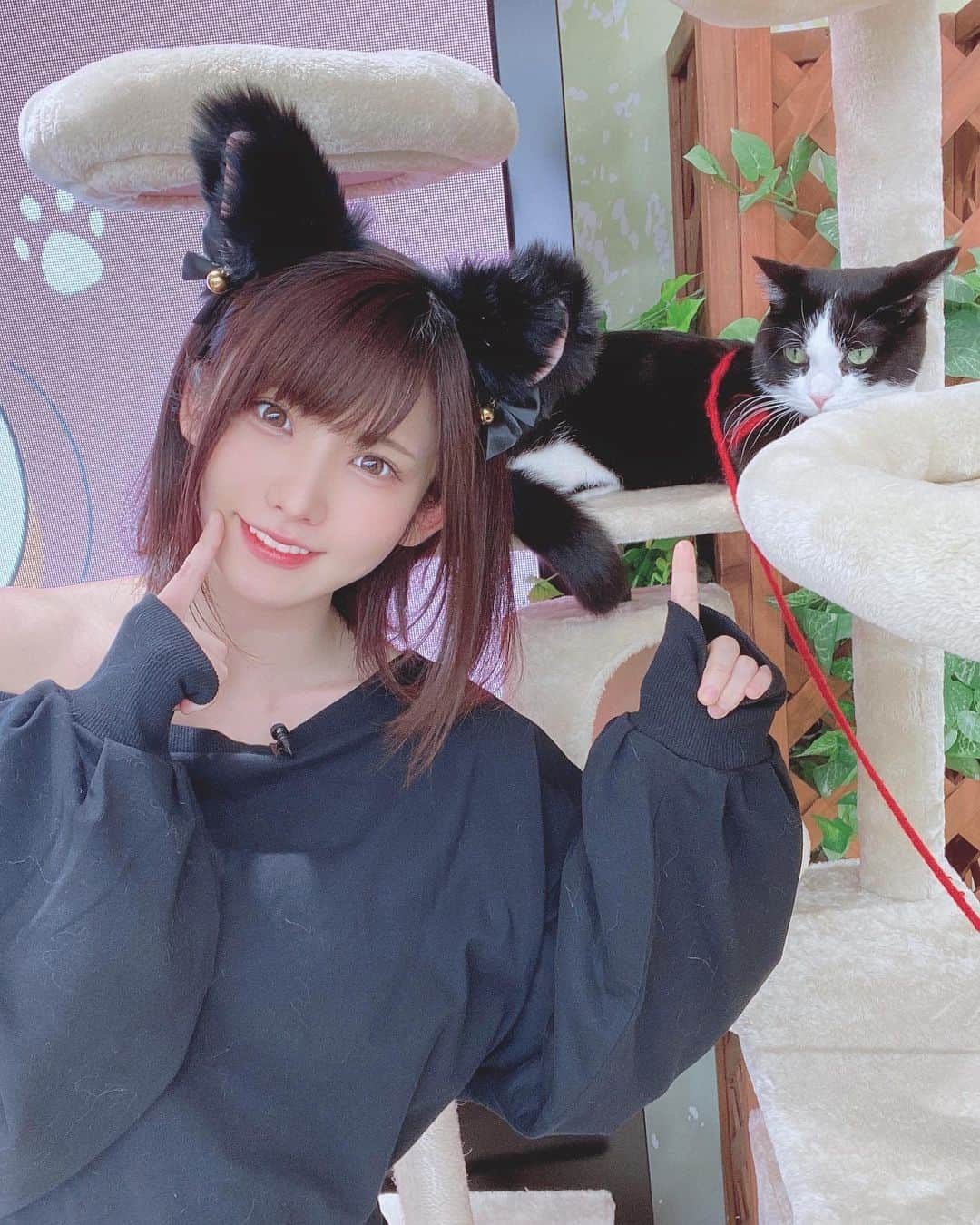 えなこさんのインスタグラム写真 - (えなこInstagram)「新しいレギュラー番組『えなこ×さらば森田の猫しか勝たん』見てね🐈🎶」10月20日 11時43分 - enakorin