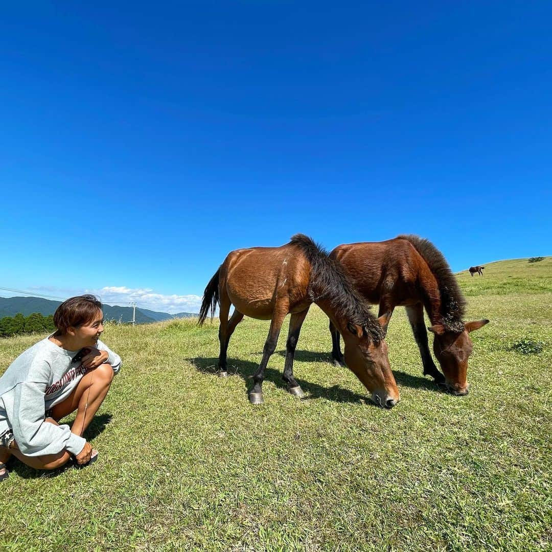 田中律子さんのインスタグラム写真 - (田中律子Instagram)「宮崎の思い出📷  都井岬で、野生の馬🐎と🐴 普通に道路も歩いてたり、牧草をむしゃむしゃ食べて、人をあまり気にしてない野生のお馬さん🐎  自由でいいね✨のびのびしてて、癒されました💛  私が着てるトレーナー👕　@yoga_citta  友達のサヤカがデザインしたトレーナー✨　@sonnylabel から発売されてまーす🤙その名も『meiso wear』チェックしてみてねーー🌞  #旅の思い出  #都井岬  #野生馬  #自由  #宮崎」10月20日 8時47分 - ri2kotanaka