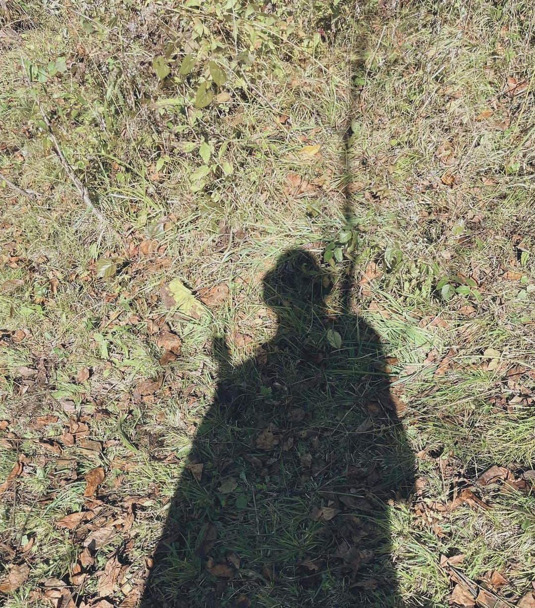 樋口柚子のインスタグラム：「🌳 肩から伸びる細い木の影と 肩かけベンチコートが相まって、 冒険に向かう魔術師(?)みたい✌︎」