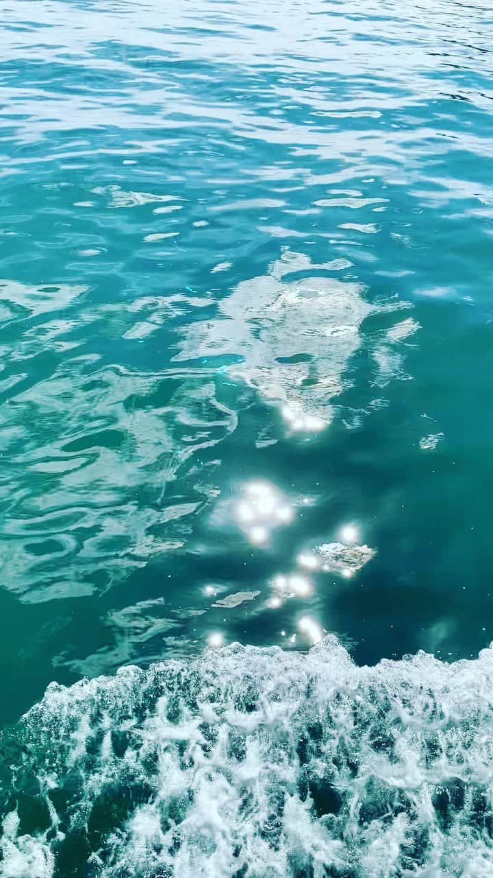 のインスタグラム：「おおなみこなみひかりの実⚪️  ひかりのみ？☺️  🐢 ✨ ✨ ✨  #twinkle  #planet #wave」