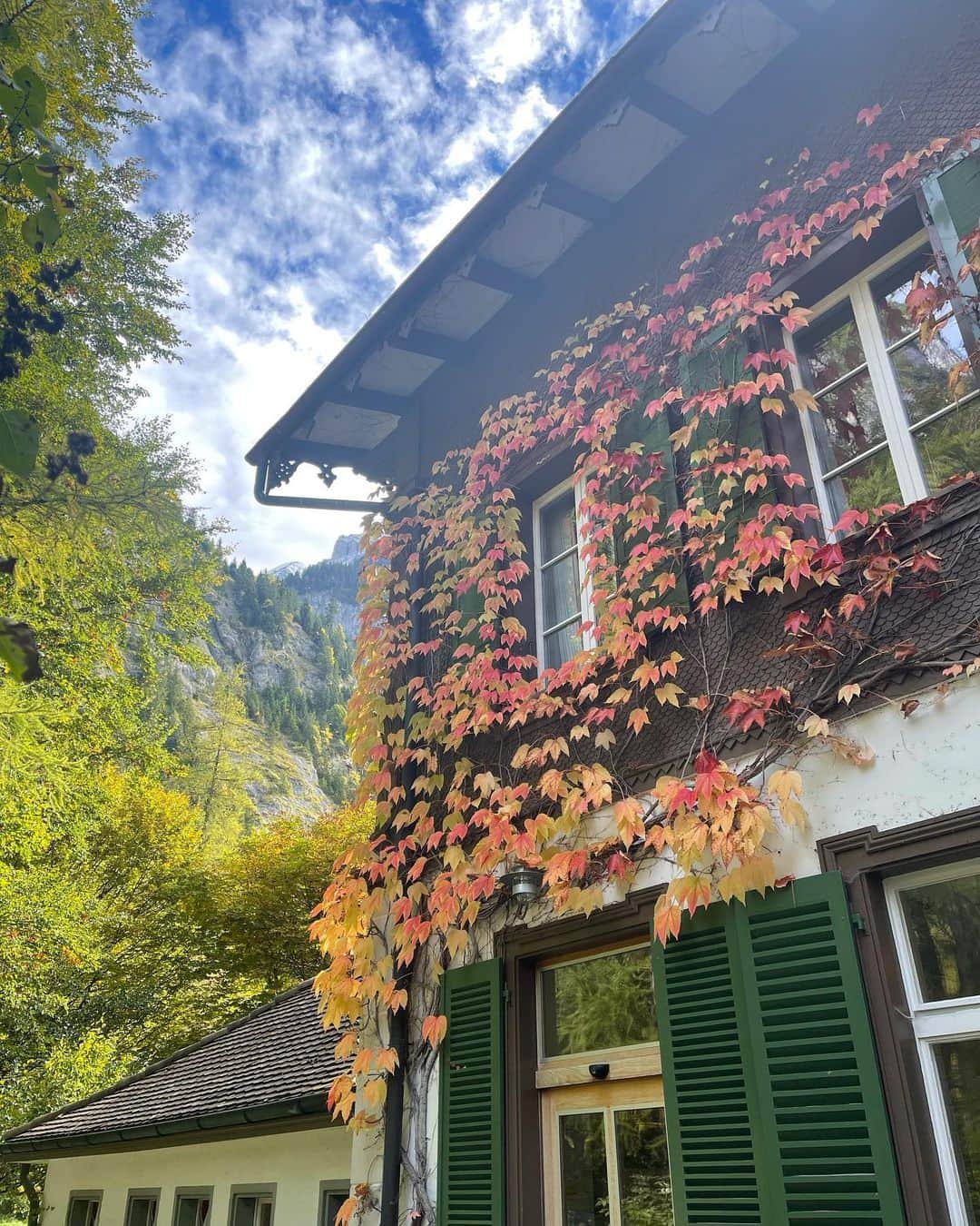 ジャスティン・キャンベルさんのインスタグラム写真 - (ジャスティン・キャンベルInstagram)「Switzerland 🇨🇭🏔」10月20日 18時40分 - justinrcampbell
