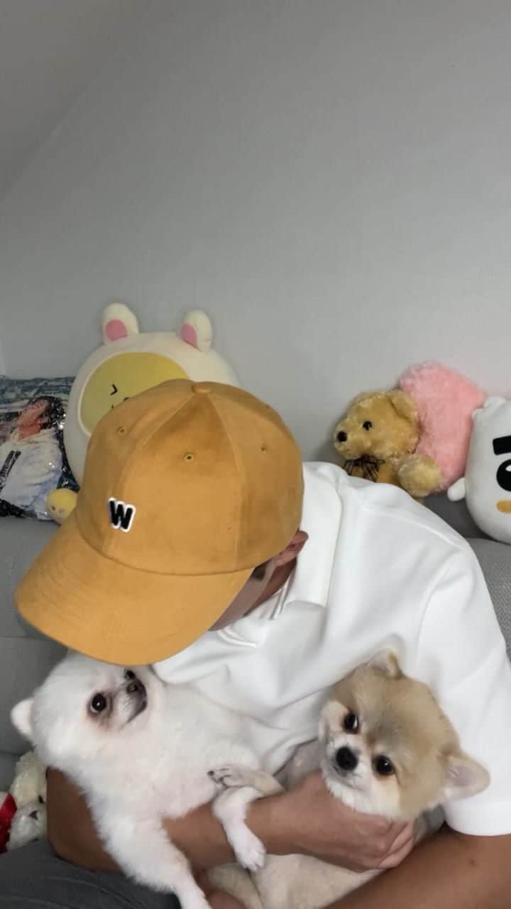 フンのインスタグラム