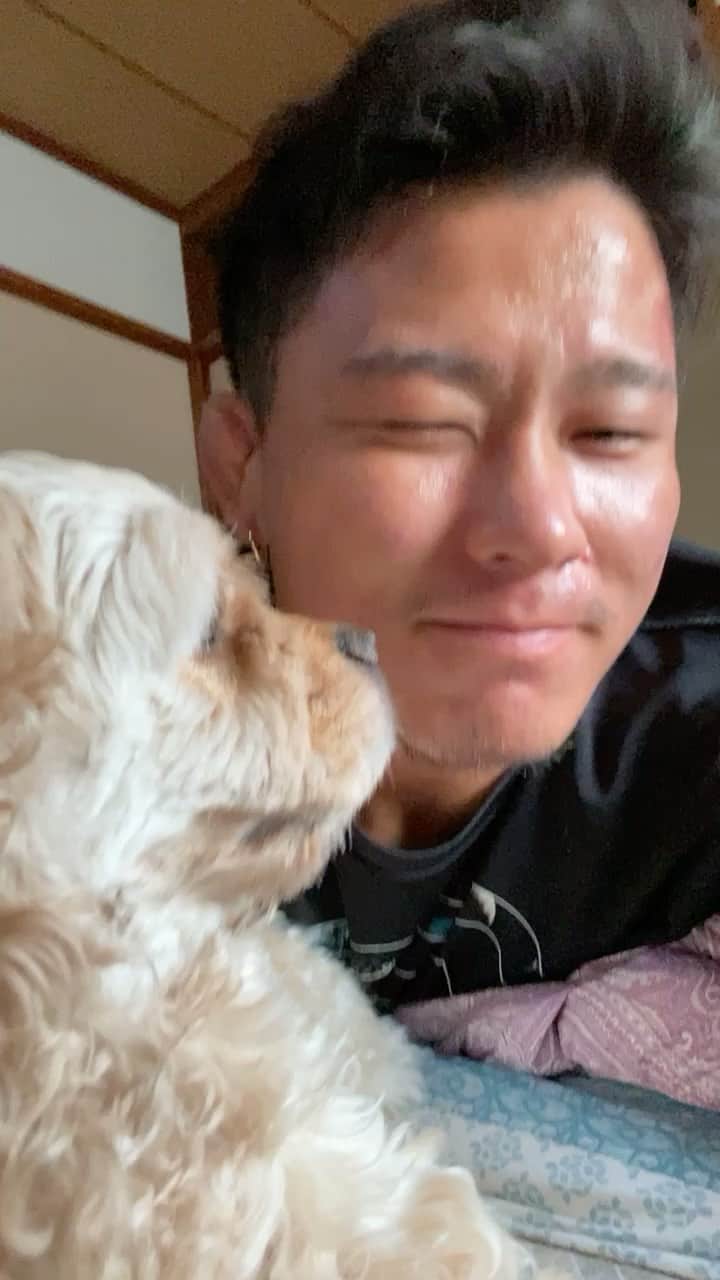 向翔一郎のインスタグラム：「忘れては行けないうちの娘のSunnyです😂」