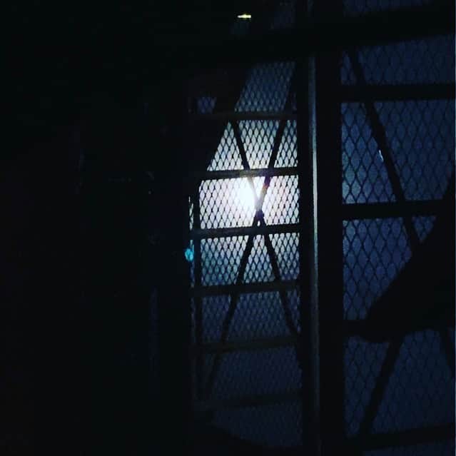 佐伯紅緒さんのインスタグラム写真 - (佐伯紅緒Instagram)「満月」10月20日 23時22分 - beniosaeki