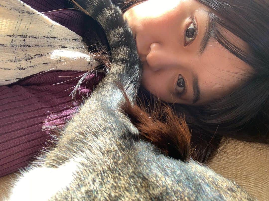 豊田留妃さんのインスタグラム写真 - (豊田留妃Instagram)「ちゅっちゅのしっぽ。 굿나잇 🌙  ・ ・  #goodnight #cat」10月20日 23時38分 - runstagram_717
