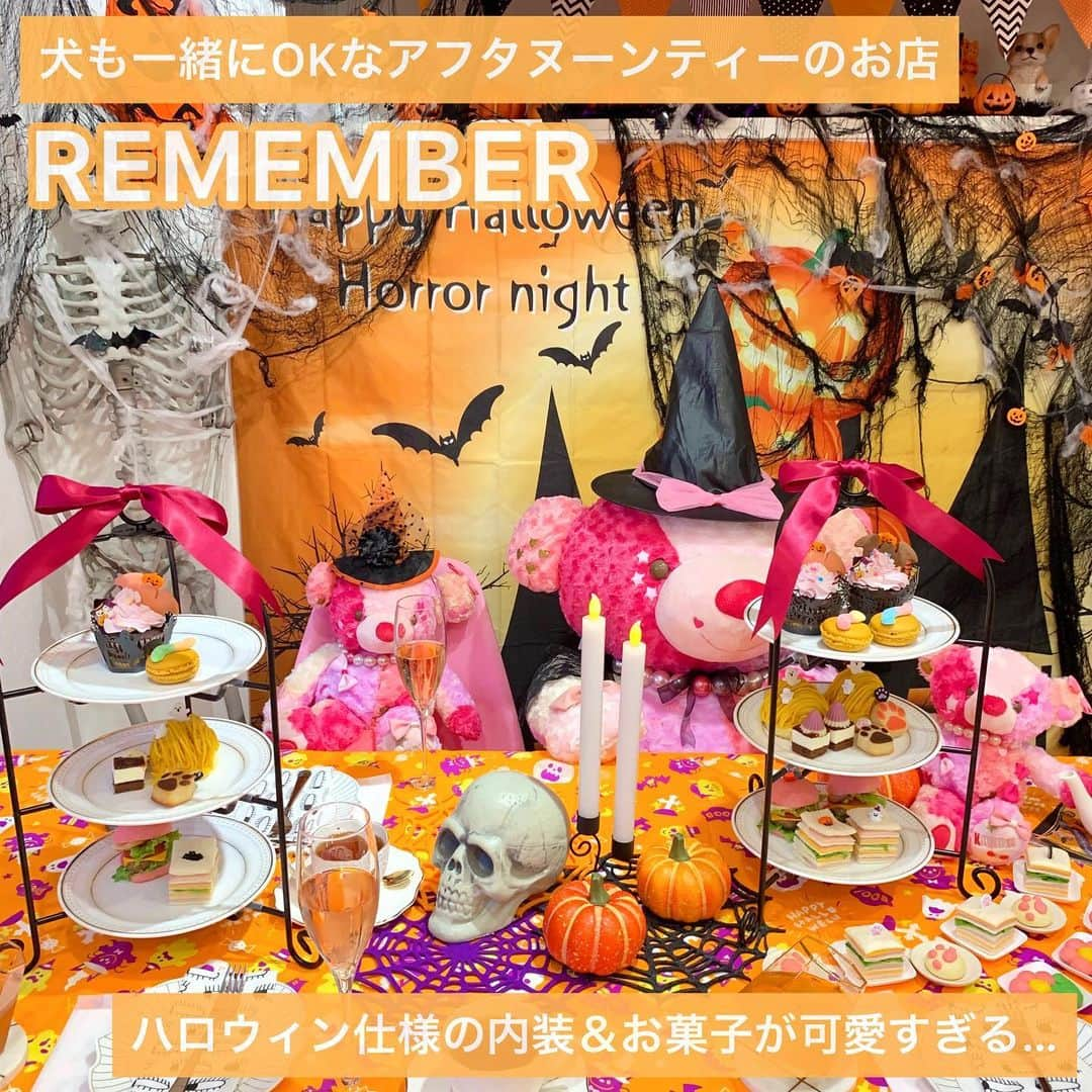 吉川ちかさんのインスタグラム写真 - (吉川ちかInstagram)「昨日はハロウィン限定🎃の アフタヌーンティーへ！ (@remember6758 )  内装もお菓子も可愛すぎた🤣💓 めちゃくちゃ癒しの空間！ とにかく派手だし お菓子も可愛いし大興奮でした✌️  ハロウィンの期間限定で やってるみたいだから是非🥺💓  #ハロウィン#ハロウィン🎃#アフタヌーンティー#ハロウィンアフタヌーンティー#可愛い#halloween#カフェ」10月21日 3時28分 - yoshikawachika_1116