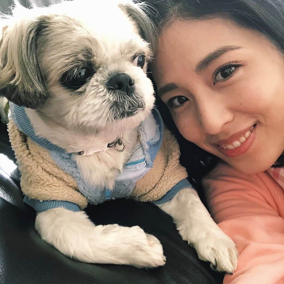 本仮屋リイナのインスタグラム：「母の愛犬ポタオ、お洋服をきて、冬支度です⛄💓  ぽーちゃん、今季も引き続き流行中のボア素材の服を着てます😏✴️  ふわふわの犬と、もこもこの服の組み合わせかわいい🐶💓  #ポタオの登場は夏ぶリイナ #愛犬 #シーズー #秋冬コーディネート #犬」