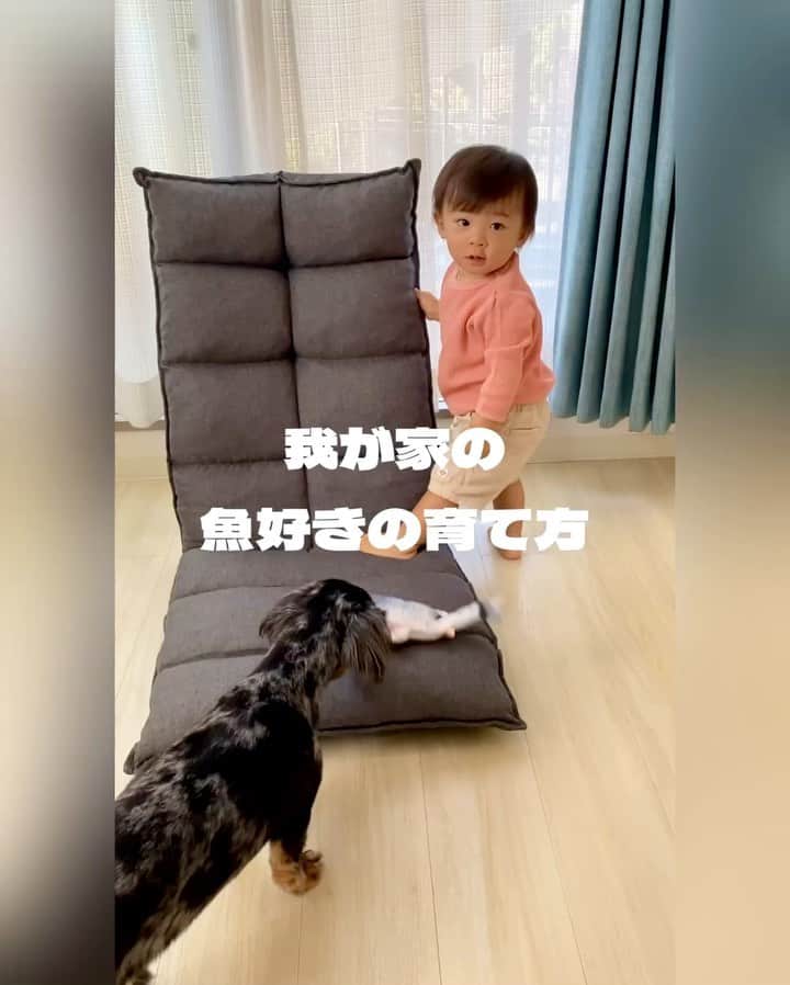 阪本智子のインスタグラム