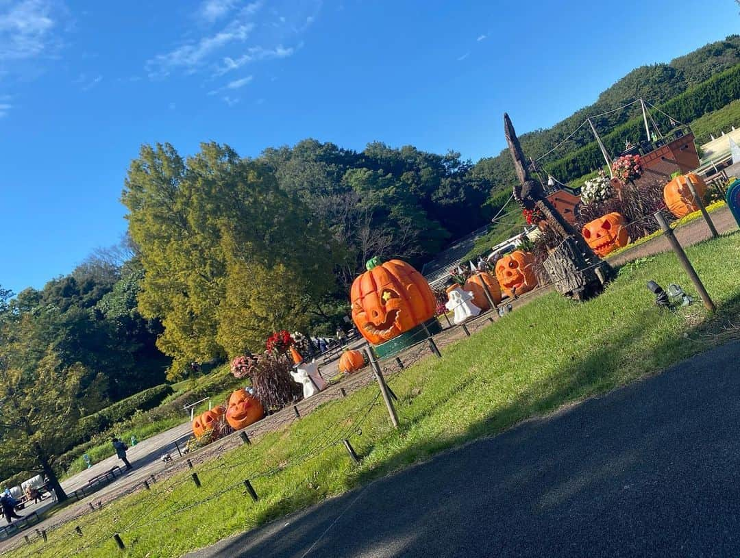 与田祐希さんのインスタグラム写真 - (与田祐希Instagram)「おさんぽ日和🍃」10月21日 18時08分 - yodayuuki_oimo