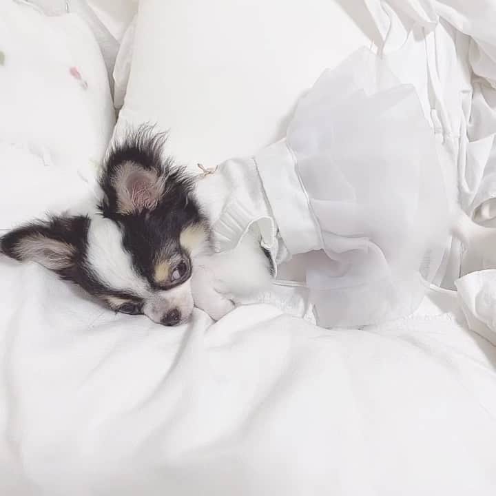 月森世菜のインスタグラム