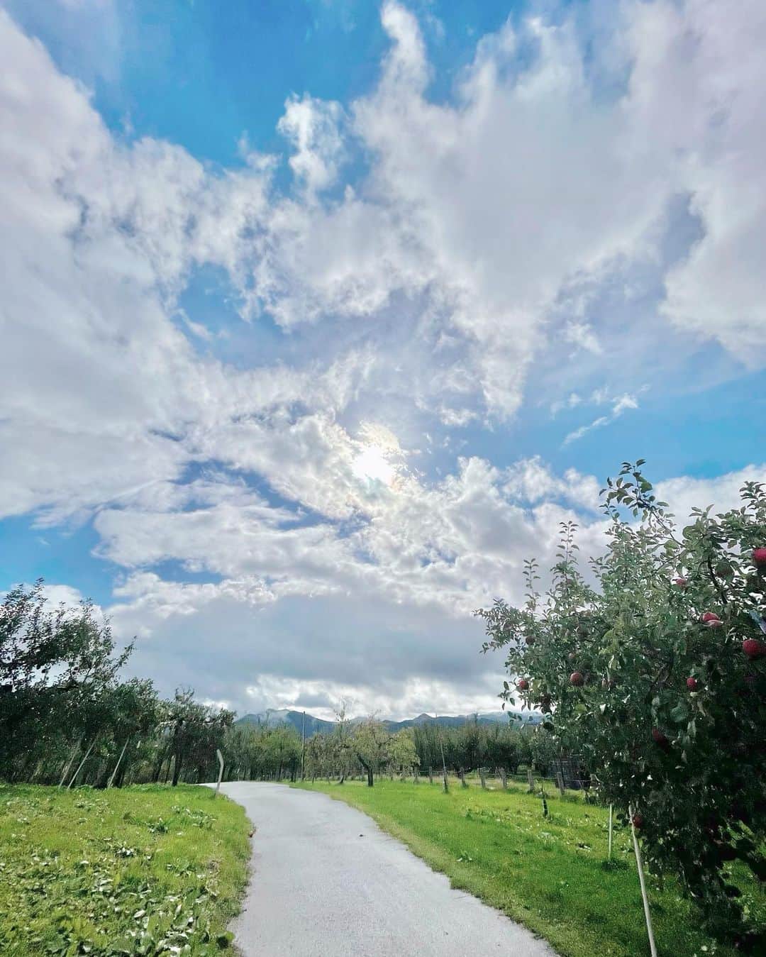 王林さんのインスタグラム写真 - (王林Instagram)「今日の弘前🤍🌈  雨が降ったと思えば晴れたり、雲でいっぱいかと思ったら虹が現れたり、太陽がのぞいてくれたり、そんなことに幸せを感じさせてくれる青森が大好きです☺︎  2枚目の岩木山、色づいているのがわかるね🍁 自然が魅せる青森の顔はどれも素晴らしい🍏  今日は久しぶりのおうちのベット💭💞 10月も有難いことに毎日いろんなことがあって、刺激的で、そんなあっという間の日々だけど、ふと街を見れば何ら変わらない青森の街並み、時がゆっくりに感じて、自然から感じる季節に心落ち着かされます。  よぉし、明日も楽しんでくるぞ☺️  #青森 #弘前 #りんご公園 #岩木山 #虹色の山 #秋 #autumn #aomori #hirosaki」10月21日 19時59分 - ourin_ringoooo