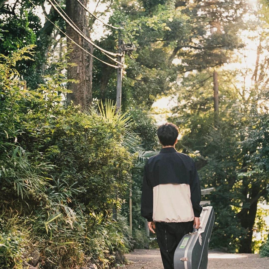 森山直太朗の会報 （森山直太朗 - 【🎈FC info】 メイツの