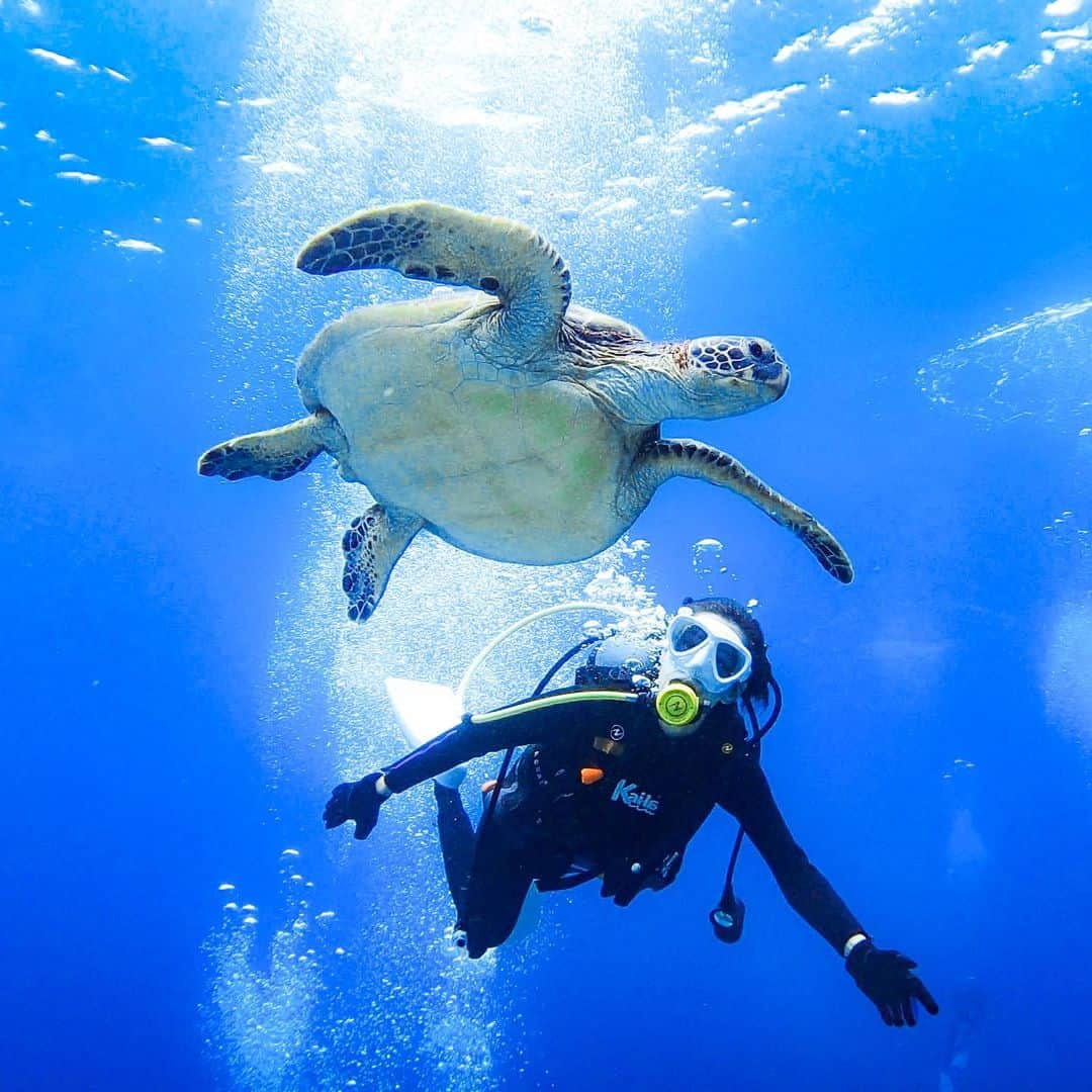 水原希子 さんのインスタグラム写真 - (水原希子 Instagram)「Underwater creatures and me in the cave🐠⚓️ 海洋生物と洞窟🐚  #希子の海物語」10月21日 22時21分 - i_am_kiko