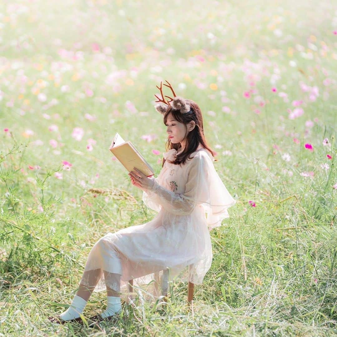 熊乃あいのインスタグラム：「読書の秋📚  どんな秋を過ごしますか？  【鹿カチューシャ取扱店】 ・JR奈良駅 生モナカつのや @nice2knowya  ・近鉄奈良駅 小動物カフェはなはな @hanahana.nara   けものんアイテム全商品取扱いは オンラインのみ（プロフィールLINK） @kemonon.nara   🍁 model.Noriko location.柳生/奈良 photo.kemonon  #けものん#鹿のカチューシャ屋さん  #鹿カチューシャ#奈良の風景  #鹿ガール#奈良観光#コスモス畑  #奈良#柳生#奈良公園#ならまち #森ポートレート#ポートレート撮影  #ポートレート#関西おでかけ  #奈良の秋#deer#deerhornheadband #いましか奈良 #いまならキャンペーン キャンペーン #観」