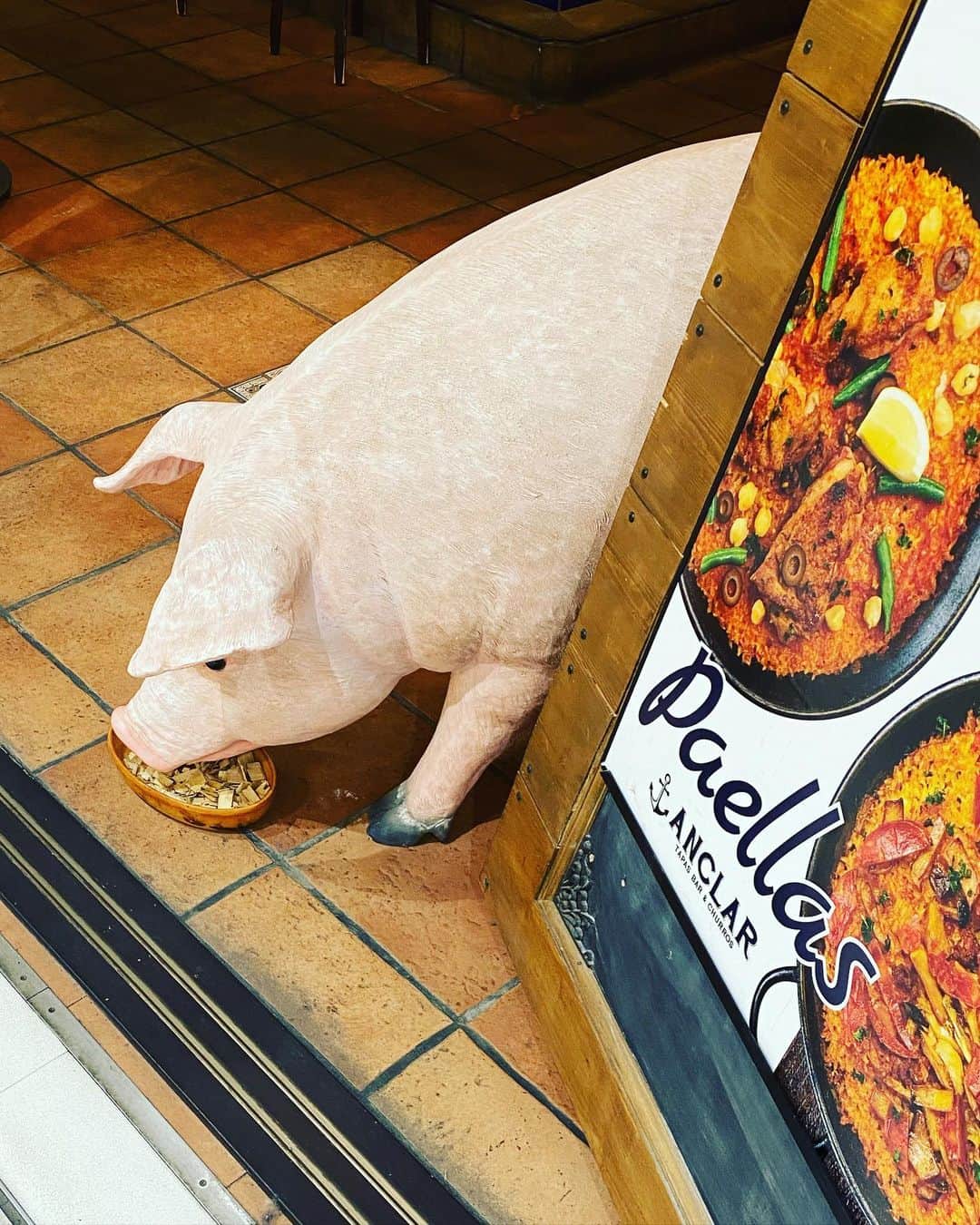 有吉弘行さんのインスタグラム写真 - (有吉弘行Instagram)「豚どうぞ。」10月22日 9時55分 - ariyoshihiroiki