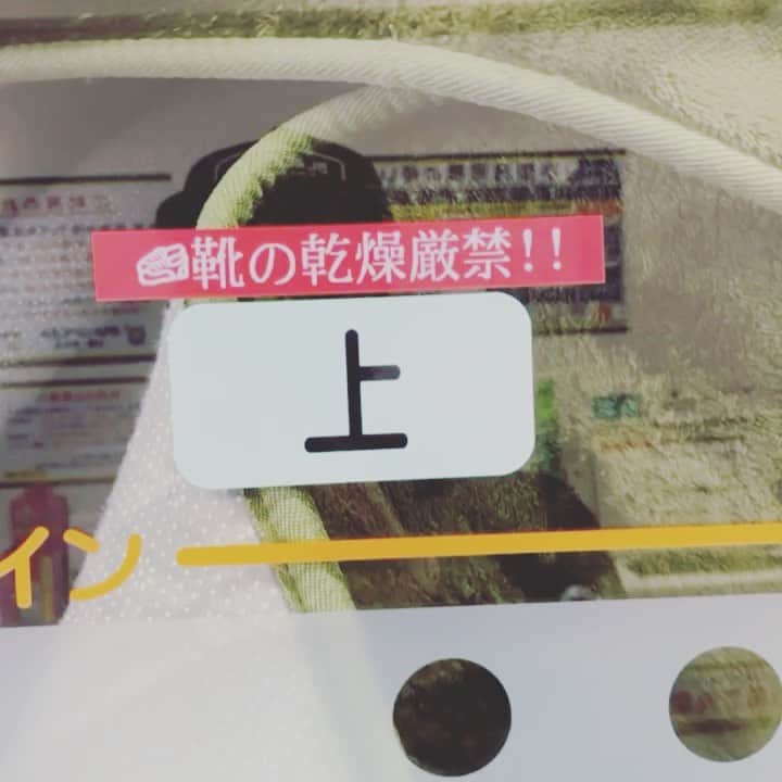 KOHSHIのインスタグラム：「ラグマットを洗いました。 Washed the rug！  昔「laundry」っていうショートムービー作ったなぁ  #靴の乾燥厳禁 #上 #インーーーーーー」