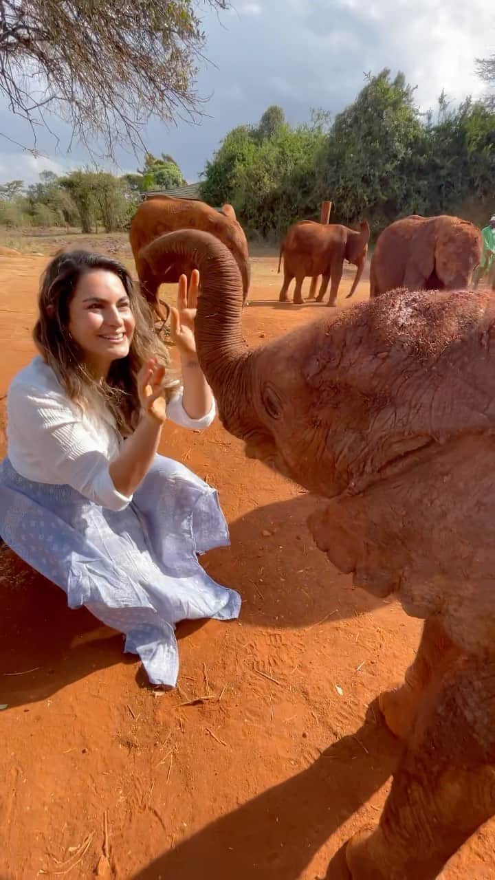 ルイス・コールのインスタグラム：「Have you ever seen anything so cute?? 🐘  I’m so happy to be at @sheldricktrust Nursery in Nairobi with @planetoat and the #PlanetOatProject program that is bringing awareness and supporting non-profit environmental organizations who are bettering the world. Thanks to donations made by Planet Oat and generous donors, all of these baby orphans have been rescued and will get 24/7 specialized care by their keepers for the next 5-8 years until they are ready to be released in the wild! Check out my stories to see how you can get involved #ad」