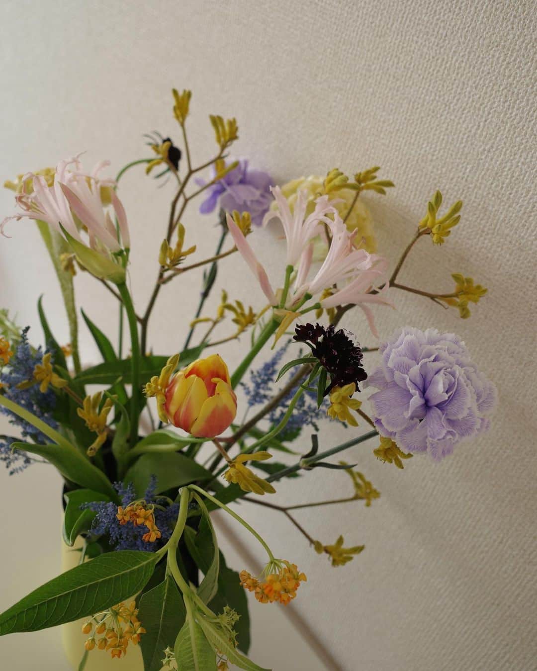 高垣麗子さんのインスタグラム写真 - (高垣麗子Instagram)「* おはようございます  朝からすっかり癒されています😌💐🌿  今日は一日雨かな... 12月並みの寒さだそう 皆さんもあたたかくしてお過ごしくださいね  * #epoi #isdf #flower #💐」10月22日 7時20分 - reikotakagaki