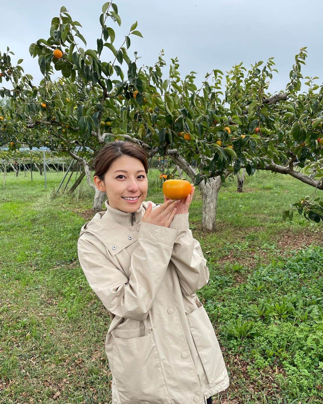 TBS「Nスタ」さんのインスタグラム写真 - (TBS「Nスタ」Instagram)「【秋の味覚大満喫！🌰】  今日のNスタは茨城をサイクリング🚴‍♀️  途中で見かけた柿農家さんにお邪魔して 今が旬の柿の収穫をさせていただきました🥰  ほかにも秋の味覚を満喫して大満足な上村アナ☺️ この様子は18:15~オンエアです！  是非チェックしてください👀💕  #井上貴博 #ホラン千秋 #上村彩子 #茨城 #サイクリング #柿 #秋の味覚 #大満喫 #プチ旅 #自転車 #楽しみ #収穫 #旬 #Nスタ #tbs #ニュース」10月22日 13時52分 - nst_tbs