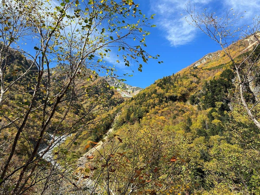 中村葵さんのインスタグラム写真 - (中村葵Instagram)「・ ・ 横尾〜涸沢まで🍁✨ 紅葉がとても綺麗！！ 山が、岩がすごく素敵な色！！ ・ ・ #山登り　#登山　#山のぼり大好き　#登山好きな人と繋がりたい #山登り好きな人と繋がりたい #登山女子 #山登り女子 #山ガール #山が好き #北アルプス　#横尾 #涸沢　#縦走 #北アルプス縦走 #秋山　#秋山登山　#ハイキング　#トレッキング　#japan #japanesemountain #trekking #instagood #中村葵」10月22日 16時20分 - aoinakamura123