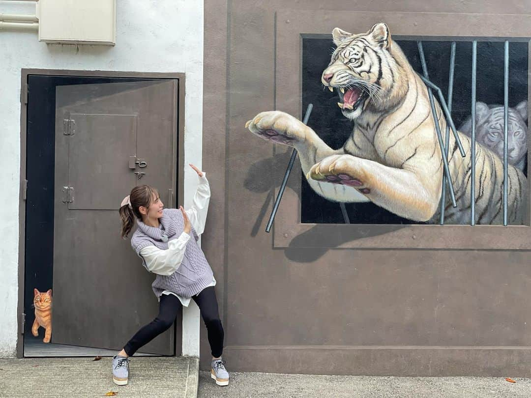 大島麻衣さんのインスタグラム写真 - (大島麻衣Instagram)「ぎゃあーー🐯‼︎‼︎ 猫園長は私が守る！🐱 #trickart #宇都宮動物園 #ホワイトタイガー #ホワイトタイガーに狙われた #猫園長 #トリックアート #うつのみやどうぶつえん」10月22日 17時22分 - maioshima911