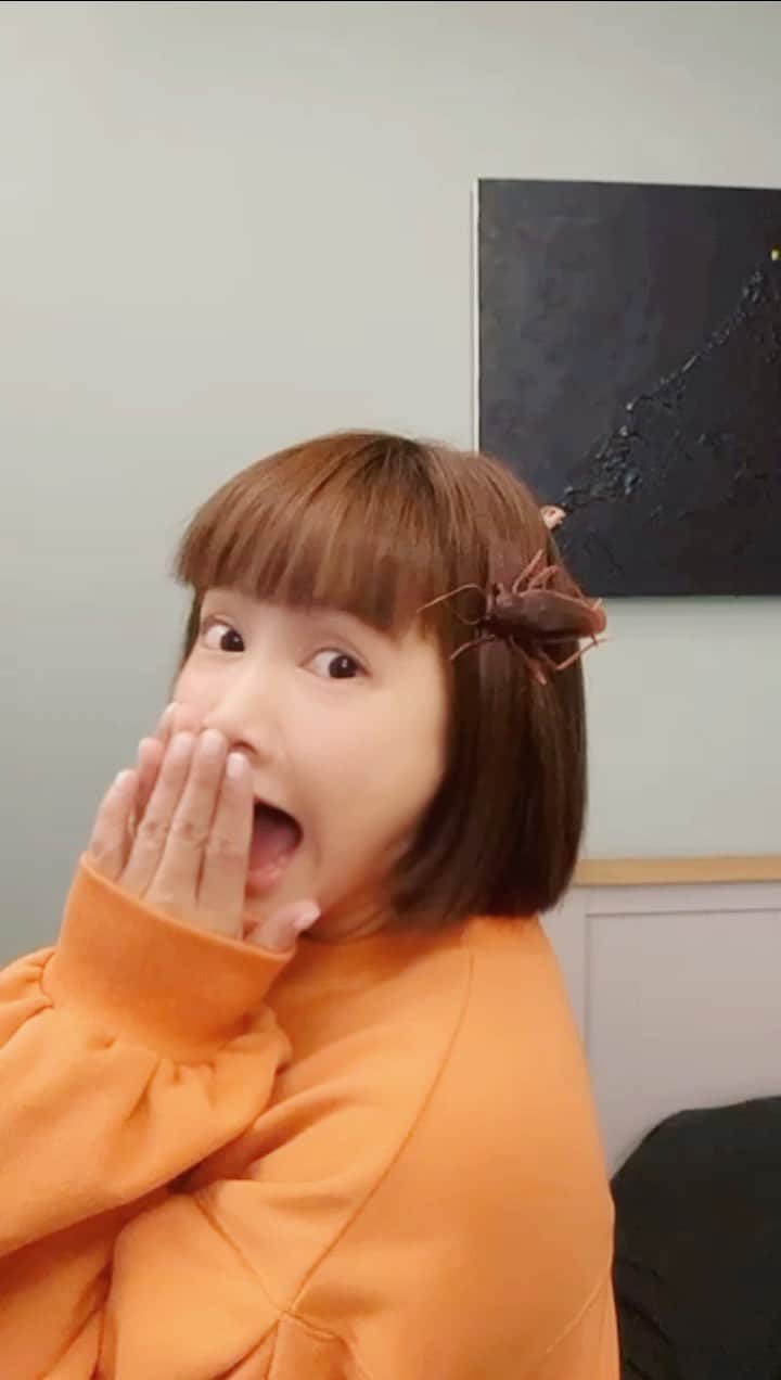 リー・ジャーインのインスタグラム：「🧏🏻‍♀️🧏🏻‍♀️🧏🏻‍♀️🧏🏻‍♀️🧏🏻‍♀️」