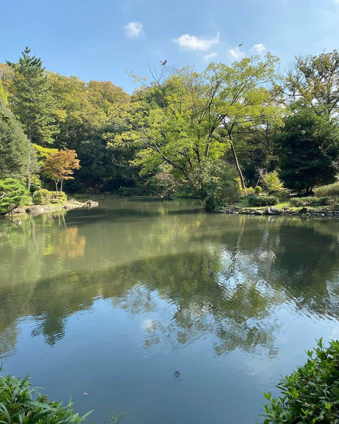 松井絵里奈さんのインスタグラム写真 - (松井絵里奈Instagram)「お仕事終わり、 楽しいお仕事をさせていただけて 私は幸せだなー♡ありがとうございます✨と、 満ち足りた思いで満月を見上げて 月光浴をしながら帰りました。  8月から始めたウォーキングも 季節が変わり夏から秋から冬に。  地元奈良の方が東京より、 当たり前に自然が近くにあって その中で癒されて。  身体が自然に身を置くと癒されることを知ってから、 ウォーキングも、季節探しも 時間の無駄だと思っていたあの頃の自分に教えてあげたい。  『心が豊かになって、 想像を遥かに超える大切なものを いただけますよ✨』って。  ウォーキングをするようになってからの方が、 タイムマネジメントも上手くなって、 朝早く起きられるようになって、 朝からストレッチをしなきゃ！から、 身体が勝手にやりたい！になっていた。  本当不思議。  お料理で食事の健康管理をしっかりしているから大丈夫。なんて思いながらも、運動不足の自分があまり好きじゃなかったのが本音。  なりたい自分へ。 小さな自分の心の声を聞いてあげて 少しずつ実行していく。  時間的に難しい時は 無理をしない。  詰め込み型から、 ゆったり型になり、 本当に大切なものが見えてきました。  まだまだ語りたい事が沢山あるけれど、 もう寝たいから寝ます♪  明日もステキな1日を 創りましょうね🕊  #ひとりごと #ウォーキング #丁寧に生きると決めてゆったり生きている自分が好き #自分の好きを探す #一瞬一瞬を味わう #ご機嫌は自分でつくるもの  #松井絵里奈 #一人の時こそ笑顔でいる #月光浴 #満ち足りた心  #東京の好きを探す #空の色も1日1日変わるよ」10月23日 0時08分 - erina74xx
