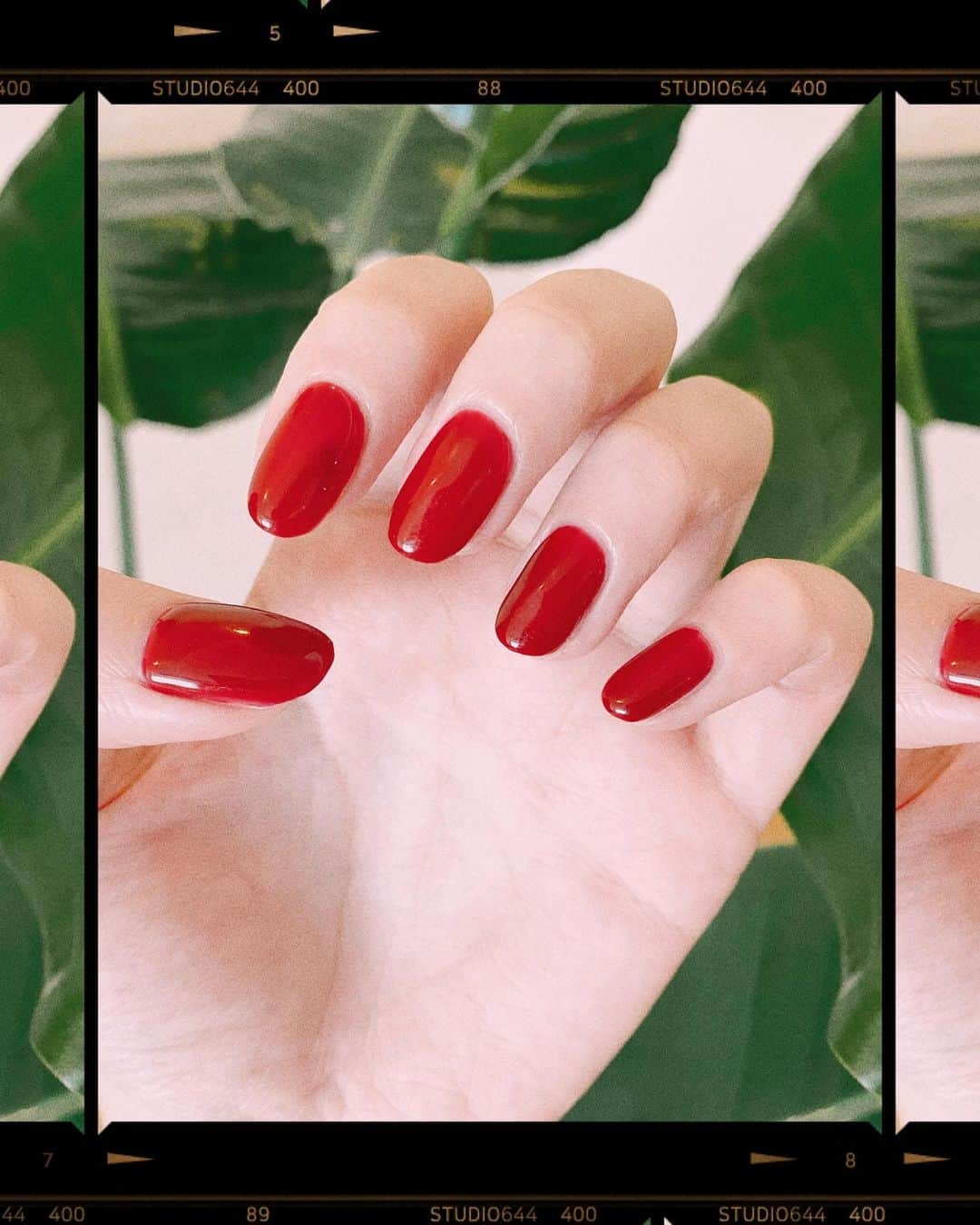 LOPEさんのインスタグラム写真 - (LOPEInstagram)「ネイルワンカラー短めにしてきた💅 いつもお姉さん同じだからお姉さんとのお話が久しぶりに人とお話たくさん出来るって感じで楽しいです☺️🍁  #ネイル #ワンカラーネイル #短めネイル #赤ネイル #秋ネイル」10月23日 14時17分 - lopechante