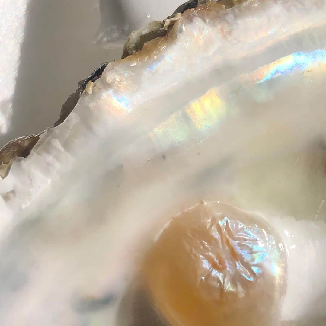 Baekさんのインスタグラム写真 - (BaekInstagram)「寒くなってきて生牡蠣がよく売られているので最近はレモンをかけて食べるのがすきです。  食べながら考えてみると最近使ってる顔料の中で白は牡蠣の殻でつくられているものだった。(他にも珊瑚や雲母があります)  しかもたべていたら真珠になりかけていたのかな！と思える2.5cmほどのキラキラな丸いのが入っていた！すごい！ さいきん毎日のように食べてるけどこんなのはじめてでうれしい🔮」10月23日 14時12分 - baek1030
