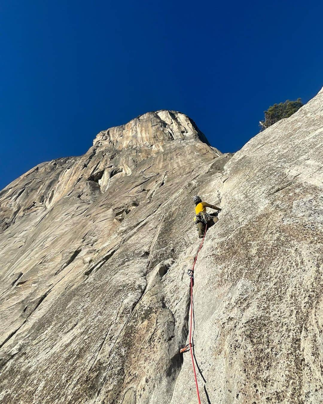 植田夢月のインスタグラム：「In the first two weeks in Yosemite I enjoyed several moderate routes. One of surprising things here is that there are plentiful three or four-star routes from easy grade, in addition, within 5-20 minutes from parking.  ⁡  pic1: Pine Line / 5.7  Located at the very bottom of Nose, El Capitan ⁡ pic2-4: Grack Center / 5.6, 3P Evan @carabinerkingevan recommended this route to me. Thanks! ⁡ pic5-6: After Seven / 5.8 Good option when Nutcracker is very crowded… ⁡ pic7: Bishop's Terrace / 5.8 As it looks, the upper part was awesome!! ⁡ pic8: Swan Slab Gully / 5.6, 3P The picture is taken at the top terrace. The perfect multi-pitch to start our journey.  #yosemite #yosemitenationalpark #yosemitenps #yosemitevalley #yosemite_national_park #yosemiteclimbing」