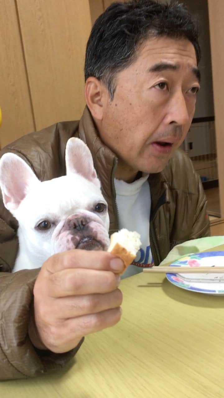 ちえぶぅたのインスタグラム：「おっさんずパンラブ。」