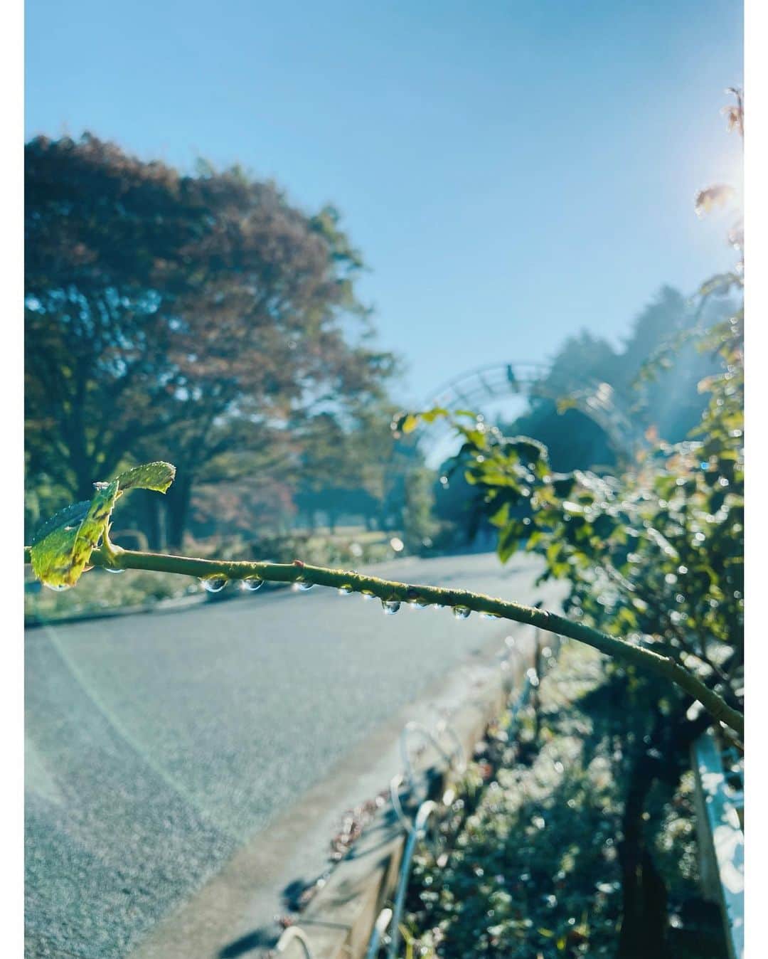 高山都さんのインスタグラム写真 - (高山都Instagram)「なんて美しい眺めだと走りながら感動した。 生きてるってすごいなーって。 雨上がりの朝、ほんとうに好き。 そんな小さな興奮をvoicyで更新しました。 朝のこしゃべり、よかったらどうぞ。」10月23日 11時58分 - miyare38