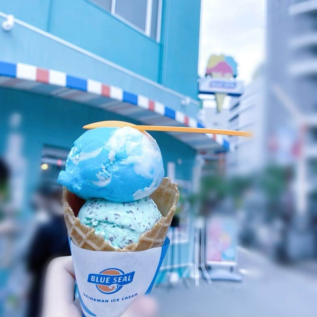 蒼井湊さんのインスタグラム写真 - (蒼井湊Instagram)「ㅤㅤㅤㅤㅤㅤㅤㅤㅤㅤㅤㅤㅤ ㅤㅤㅤㅤㅤㅤㅤㅤㅤㅤㅤㅤㅤ 　- ̗̀ 🍨 ̖́- ㅤㅤㅤㅤㅤㅤㅤㅤㅤㅤㅤㅤㅤ #アイドル  #sjk #sjkブランド #jk #jkブランド  #量産型  #量産型女子  #04 #あいどる  #地雷女 #地雷系女子 #地雷系 #女子高生  #サブカル女子  #名古屋  #おーえすけー #ブルーシール #ブルーシールアイス #アイスクリーム #チョコミント #チョコミントアイス #食べスタグラム」10月23日 22時49分 - osu_aomina